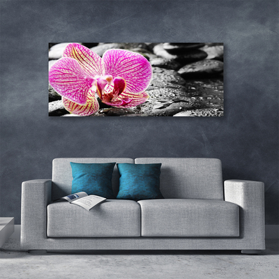 Fototryck canvas Flower Stones Orchid