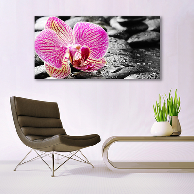 Fototryck canvas Flower Stones Orchid