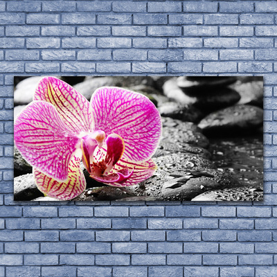 Fototryck canvas Flower Stones Orchid