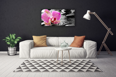 Fototryck canvas Flower Stones Orchid