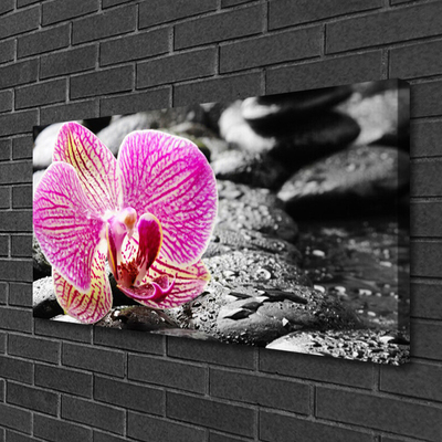 Fototryck canvas Flower Stones Orchid