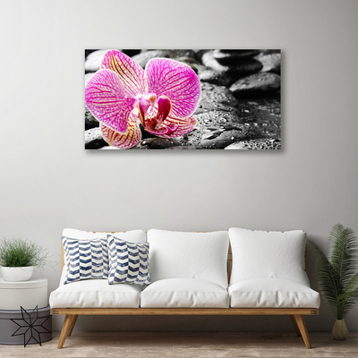 Fototryck canvas Flower Stones Orchid