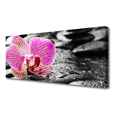 Fototryck canvas Flower Stones Orchid