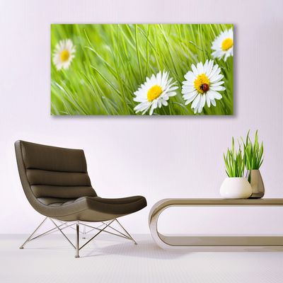 Fototryck canvas Gräs tusenskönor Natur