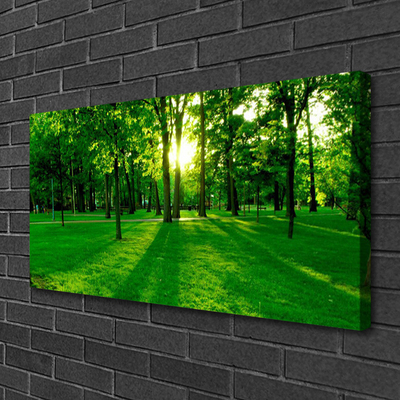 Canvas bild Skogsparksnatur