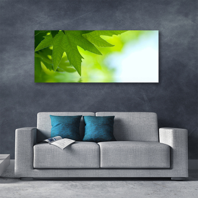 Fototryck canvas Lämnar Naturväxt