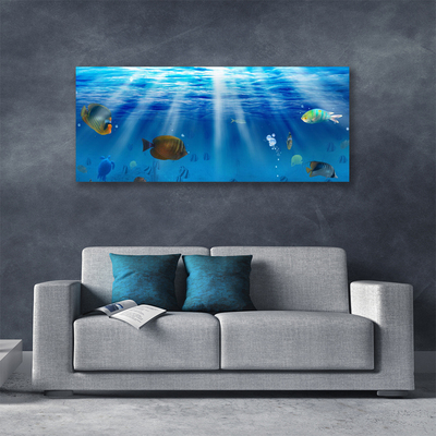 Canvas bild Fisk Natur