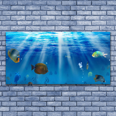 Canvas bild Fisk Natur