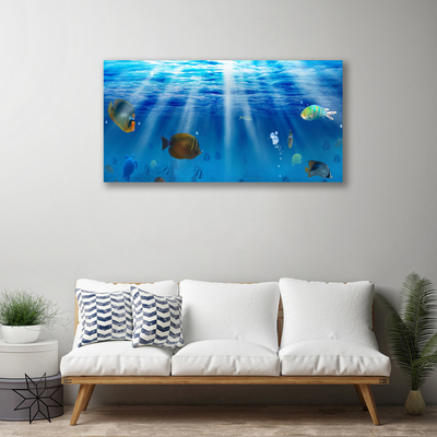Canvas bild Fisk Natur