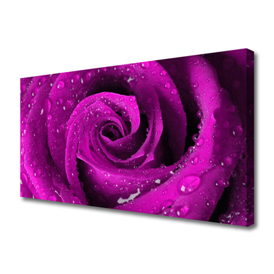 Canvas bild Rose Flower Plant Nature