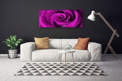 Canvas bild Rose Flower Plant Nature