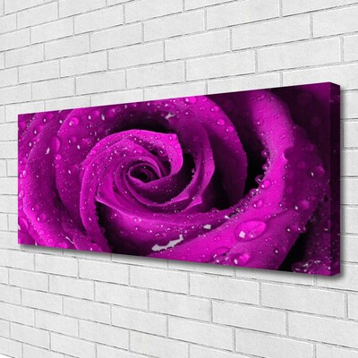 Canvas bild Rose Flower Plant Nature