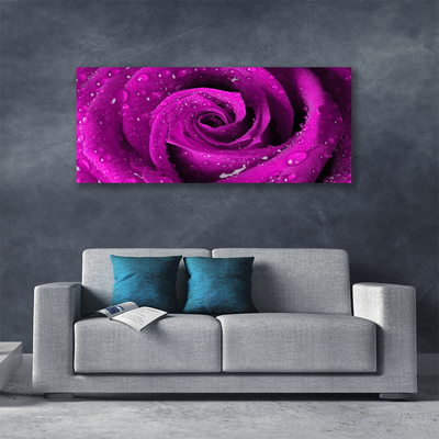 Canvas bild Rose Flower Plant Nature