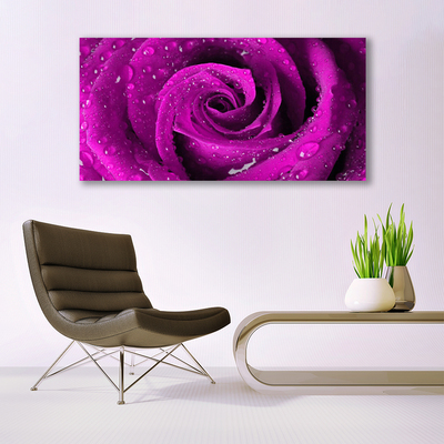 Canvas bild Rose Flower Plant Nature