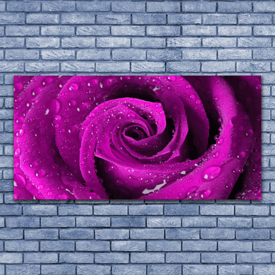 Canvas bild Rose Flower Plant Nature