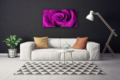 Canvas bild Rose Flower Plant Nature