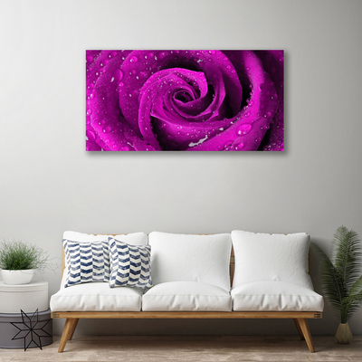 Canvas bild Rose Flower Plant Nature