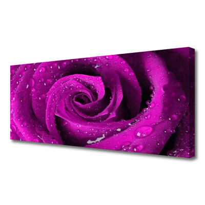 Canvas bild Rose Flower Plant Nature