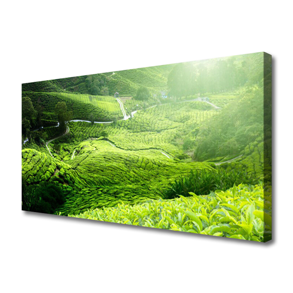 Fototryck canvas Natur äng