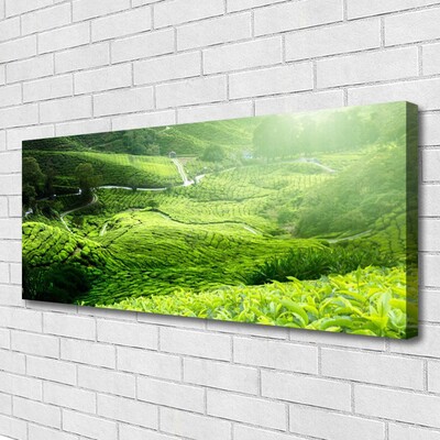 Fototryck canvas Natur äng