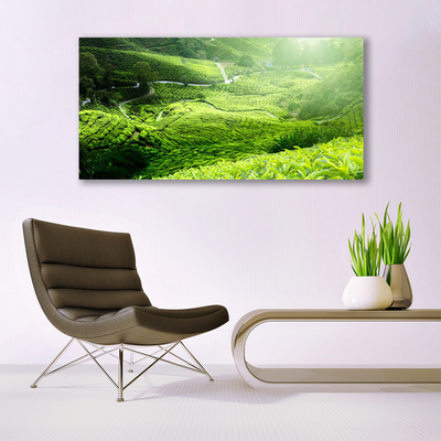 Fototryck canvas Natur äng