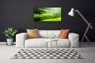 Fototryck canvas Natur äng