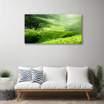 Fototryck canvas Natur äng