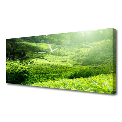 Fototryck canvas Natur äng