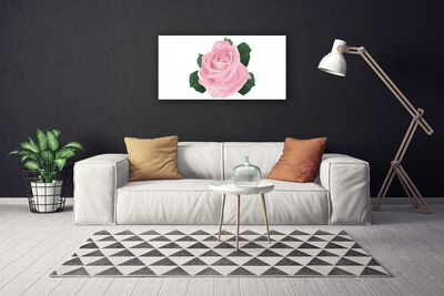 Canvas bild Rose Flower Plant Nature