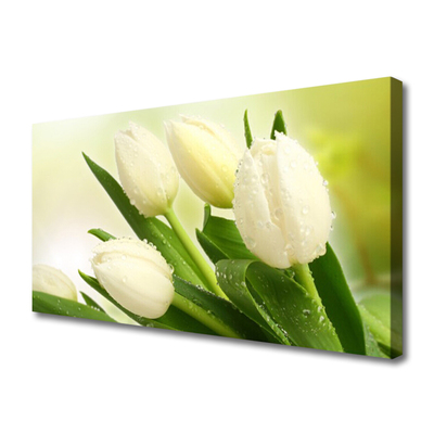 Fototryck canvas Tulpaner Blommor Plant