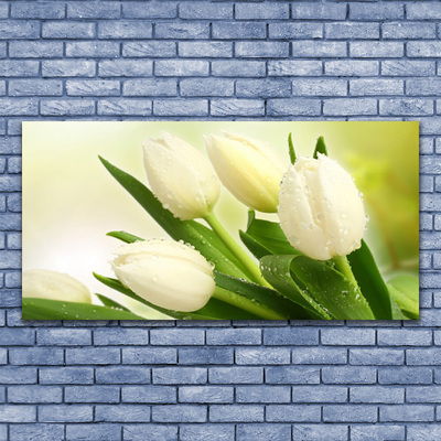 Fototryck canvas Tulpaner Blommor Plant