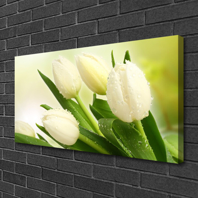 Fototryck canvas Tulpaner Blommor Plant