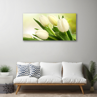 Fototryck canvas Tulpaner Blommor Plant