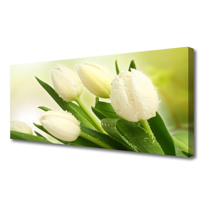 Fototryck canvas Tulpaner Blommor Plant