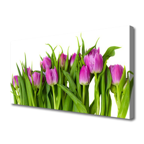 Bild canvas Tulpaner Blommor Plant