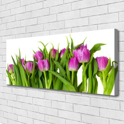 Bild canvas Tulpaner Blommor Plant