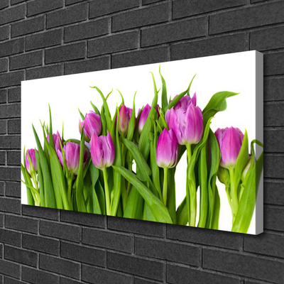 Bild canvas Tulpaner Blommor Plant