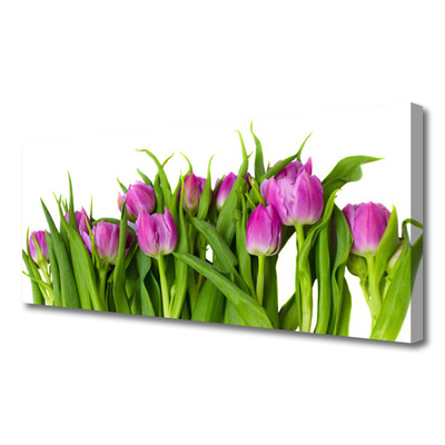 Bild canvas Tulpaner Blommor Plant