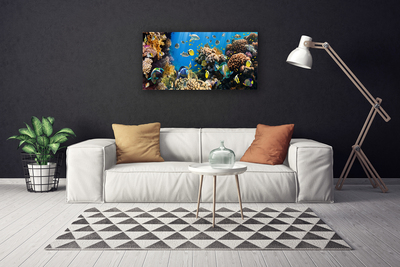 Bild på canvas Korallrevs natur