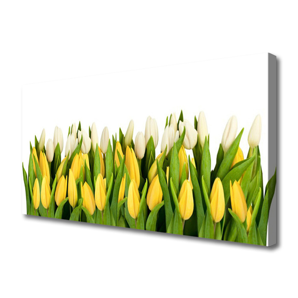 Fototryck canvas Tulpaner Blommor Plant