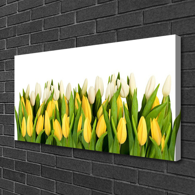 Fototryck canvas Tulpaner Blommor Plant