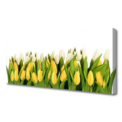 Fototryck canvas Tulpaner Blommor Plant