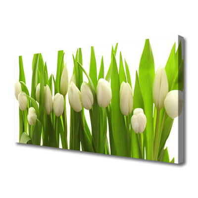 Bild canvas Tulpaner Blommor Plant