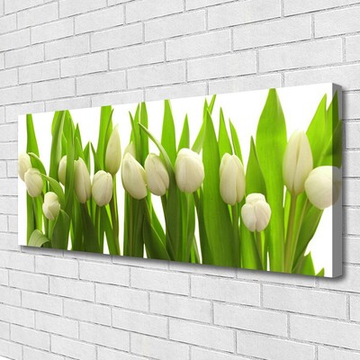 Bild canvas Tulpaner Blommor Plant