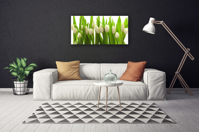 Bild canvas Tulpaner Blommor Plant