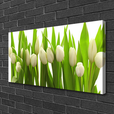 Bild canvas Tulpaner Blommor Plant