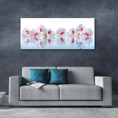 Fototryck canvas Blommor Växt Natur Art