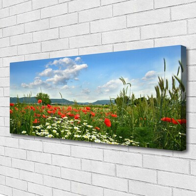 Bild på canvas Ängsblommor Naturväxt