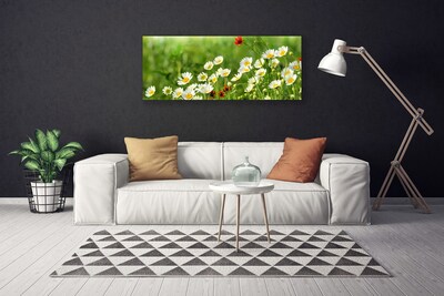 Fototryck canvas Daisy Plant Nature