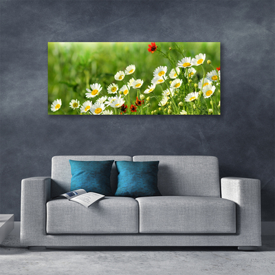 Fototryck canvas Daisy Plant Nature